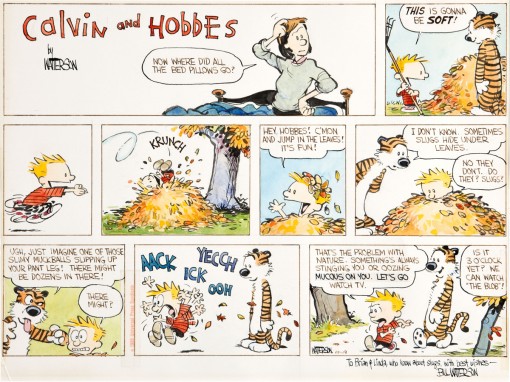 Calvin & Hobbes