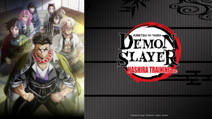 Demon Slayer: Kimetsu no Yaiba Hashira Training Arc