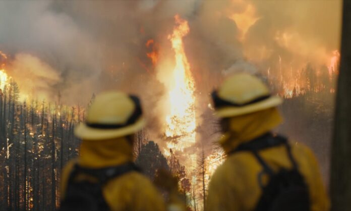 Fire Country (c/o CBS VFX)