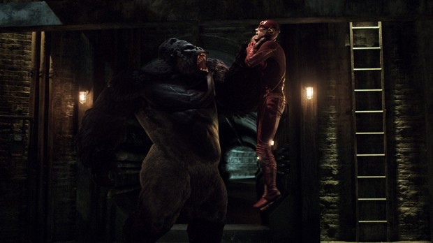 Grodd Lives