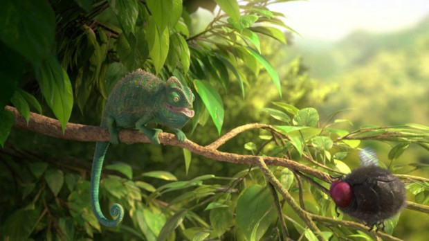 ITFS Audience Award winner Our Wonderful Nature - The Common Chameleon