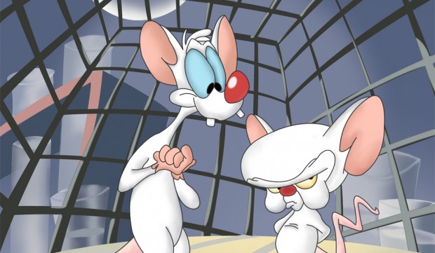 Pinky and the Brain