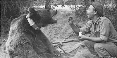 A Bear Named Wojtek