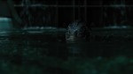 The Shape of Water