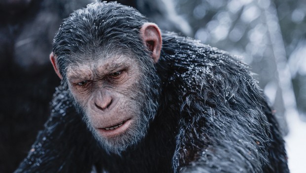 War for the Planet of the Apes