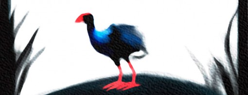 Pukeko Pictures