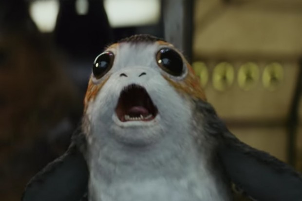 Porg from Star Wars: The Last Jedi