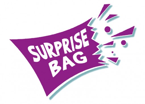 Surprise Bag, Inc.