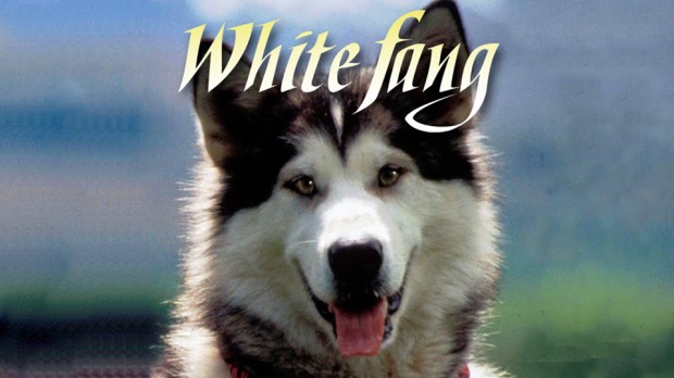 White Fang